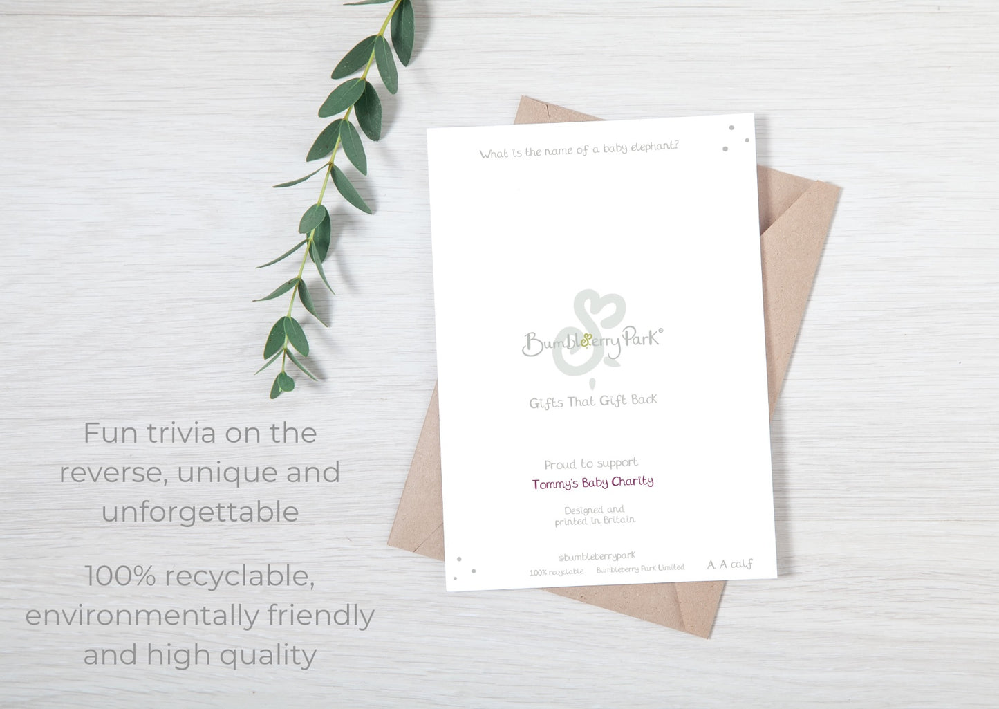 back cover of a handmade luxury greetings card for a new baby with details of a fun fact of animal trivia and charity donation details with made in britain and recyclable notes