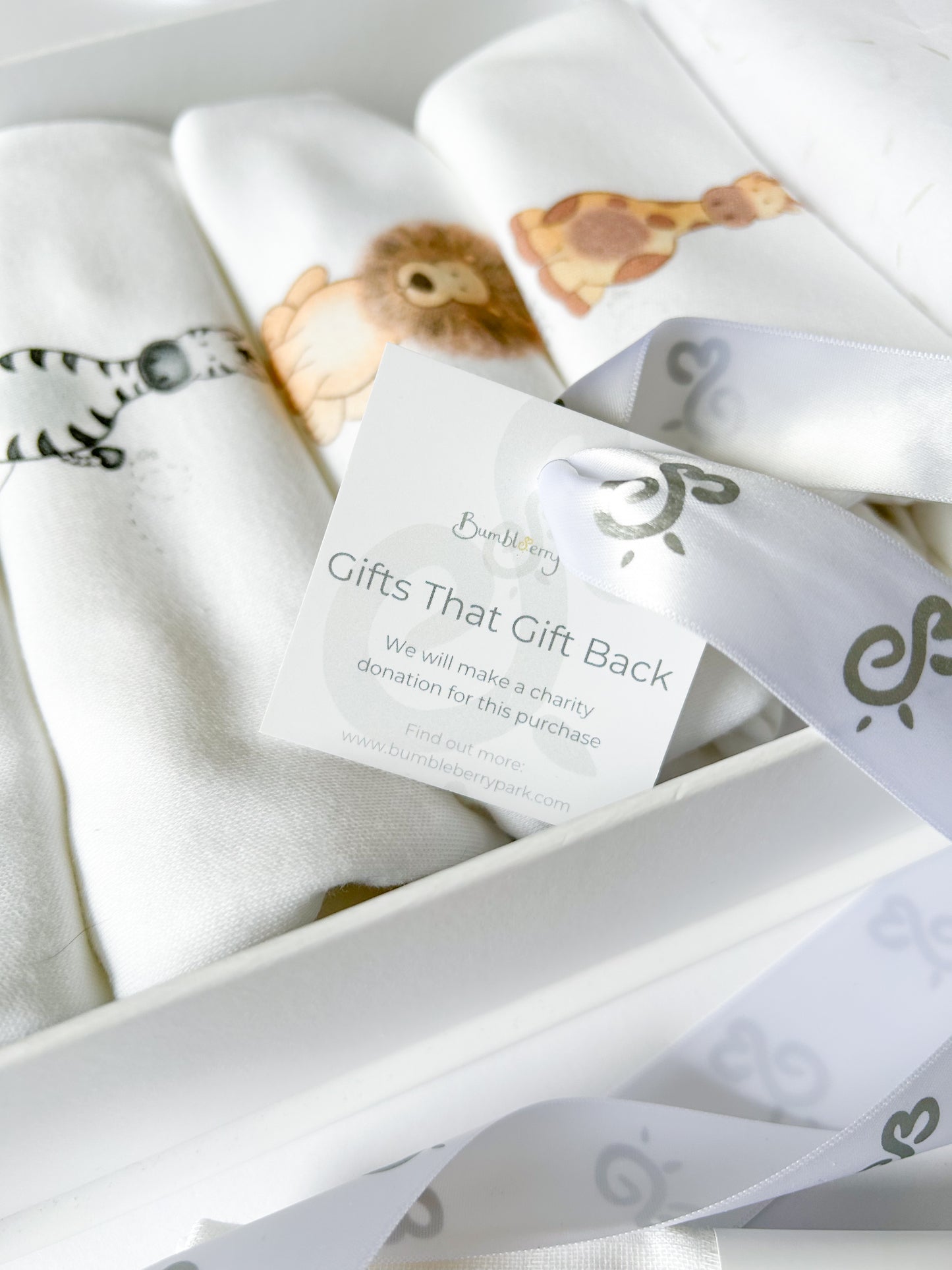 My First Year - Safari Affirmations - Mixed Size 4 x Bodysuit Gift Set