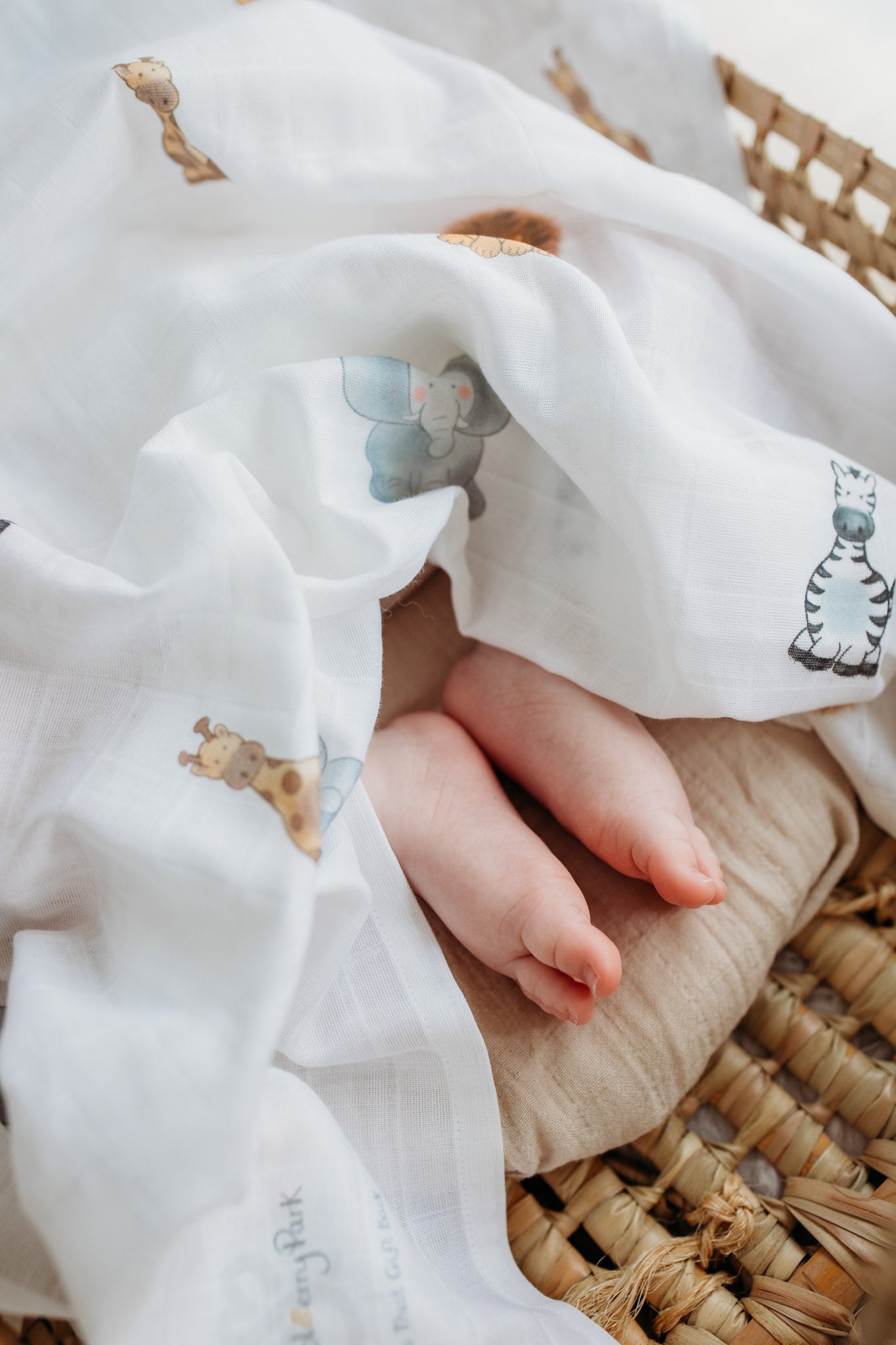 Safari Friends - New Family 2 x Bodysuit and Muslin Gift Set - Personalise me